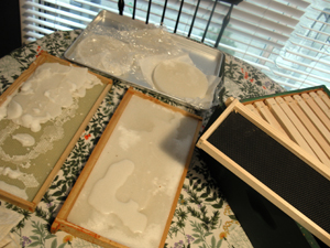 fondant patties and frames