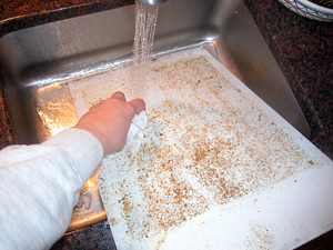 washing Twain board