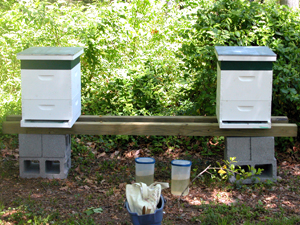 Hives Doug and MaryEllen