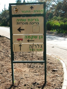 hebrew sign pointing to bee center