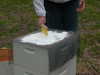 brushing confectioners sugar through screen