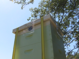 vent at top of first hive