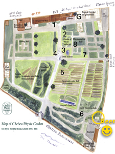 map of Chelsea Physic Garden with Beehives highlighted