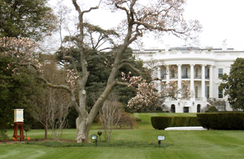 yes, there they are on the White House Lawn